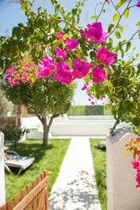 Casa do Sossego - Vimieiro