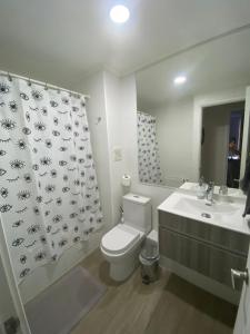 Departamento Alicura - Pucón