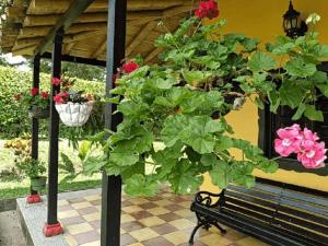Finca cafetera para tu descanso-Finlandia Quindio