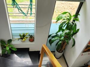 Sena home 3#1-Near Danang Dragon Bridge-Han River