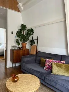 Groenlokaal - Zuidschermer