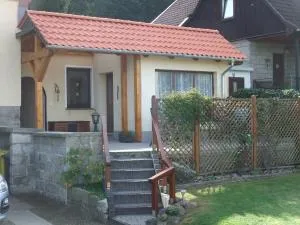 Eichhörnchen Wernigerode - Hasserode