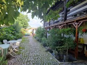 Camera 3 locuri Carpathian view - Centru Cristian - 克里斯蒂安