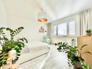 Family-Friendly Apartment with Free parking in Bratislava