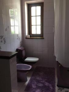 Lovely 5 bedrooms viareggina, with garden