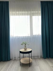 Cozy Studios in Suceava