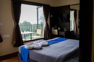 Dolphin Nose Retreat