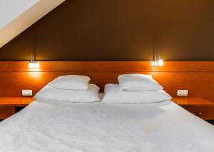  Attic Double or Twin Room room in Best Western Hotel Kranjska Gora