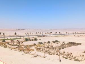 Aqua Palms resort -Lovely studio