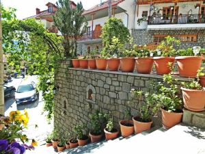 Asteri Metsovou Epirus Greece