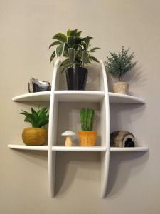 smart sarpi monolocale