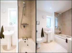 Artists Garden on Wolsey Island