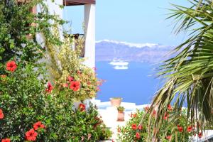 Maison Des Lys - Luxury Suites Santorini Greece