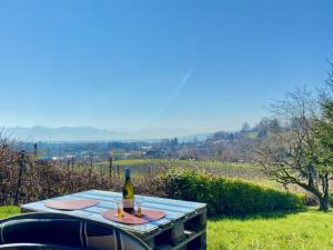 Ferienwohnung Weinberg-Idyll - Traumhafter Blick über Weinberge auf den Bodensee