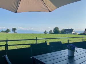 Ferienwohnung Seetraum - Hoch über dem See, großzügig mit großem Balkon