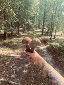 Domek Bartoszylas z sauną i balią