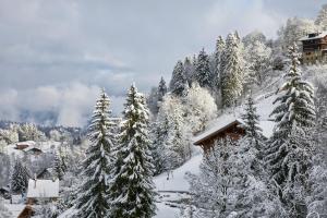 The Large Suite - Megeve view with Balcony with High Tea (dec-april)  room in Hôtel L'Arboisie
