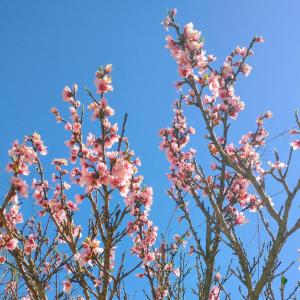 Luna en Acuario Hospedaje