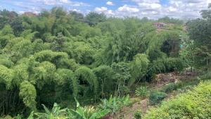 Casa campestre Montenegro Quindio