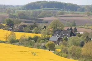 Das Abendrote Haus - Griebel