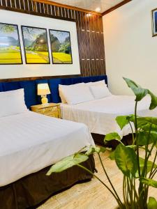 Tam Coc Little river Bungalow