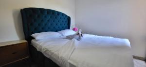 Santa Marta La Magia De Tenerlo Todo