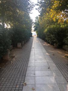 Stelios Seaside apartment