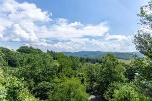 Serenity - Ski Mountain