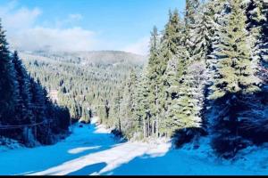 Cabana Harghita Băi