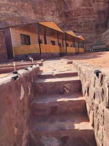 Real Bedouin life &tour