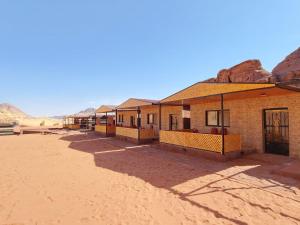Real Bedouin life &tour