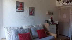 Ustou Guzet neige, appartement de 32 M2 avec balcon dans les Pyrénées aux pieds des pistes - Ercé