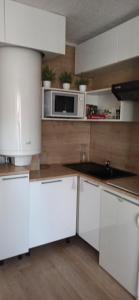 Ustou Guzet neige, appartement de 32 M2 avec balcon dans les Pyrénées aux pieds des pistes