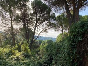 Casa Valdesanmartin - Country House, 10500sqm, Pool, Paddel & Bbq