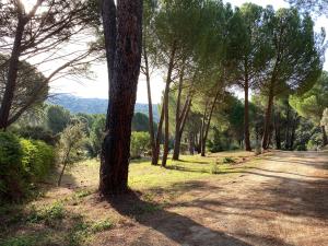 Casa Valdesanmartin - Country House, 10500sqm, Pool, Paddel & Bbq