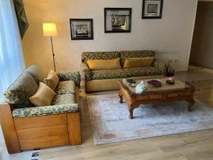 Lovely furnished 2-bedroom apartment with balcony - 开罗