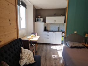 Appartements Studio La Cabane Centre Ville : photos des chambres
