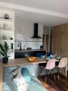 Stylowy Apartament przy Manufakturze w samym centrum Łodzi - 罗兹省康斯坦丁努夫