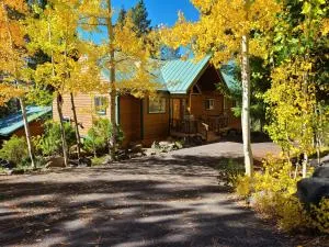 Large Mountain Home Near Crescent, Odell, and Crater Lakes. Family Reunion Home! - Chemult