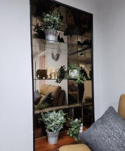 FM Homes & Apartments 3 Bedroom House Motherwell