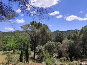 Bonita casa blanca en el bosque.