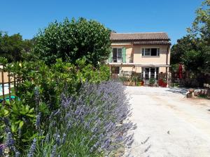 Maisons de vacances Gite Maison provencale Coeur du Var (rez-de-chaussee) : photos des chambres