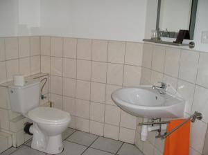 Twin Room room in Hotel Gotthard
