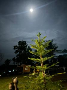 PJ Kingdom Camps บ้านพักตากอากาศ ยินดีต้อนรับสัตว์เลี้ยง