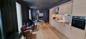 Modern ski in, ski out apartment in Geilo