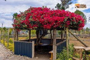 Nanyuki Likizo Castle