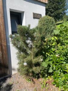 Chalets Le Chalet de Juliette : photos des chambres