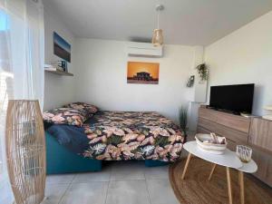 Appartements Studio tout confort + terrasse : photos des chambres