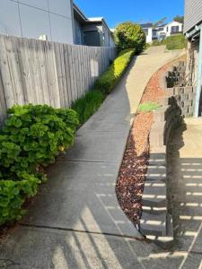 kunanyi horizons - Hobart