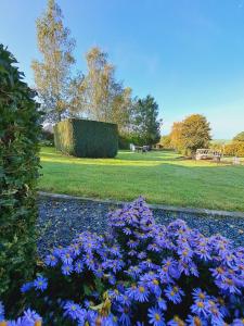 Les marmottes - Maison de vacances La Roche-en-Ardenne